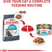 Royal Canin Feline Care Nutrition Urinary Care Adult Thin Slices in Gravy Cat Food, 3 oz (Pack of 12)