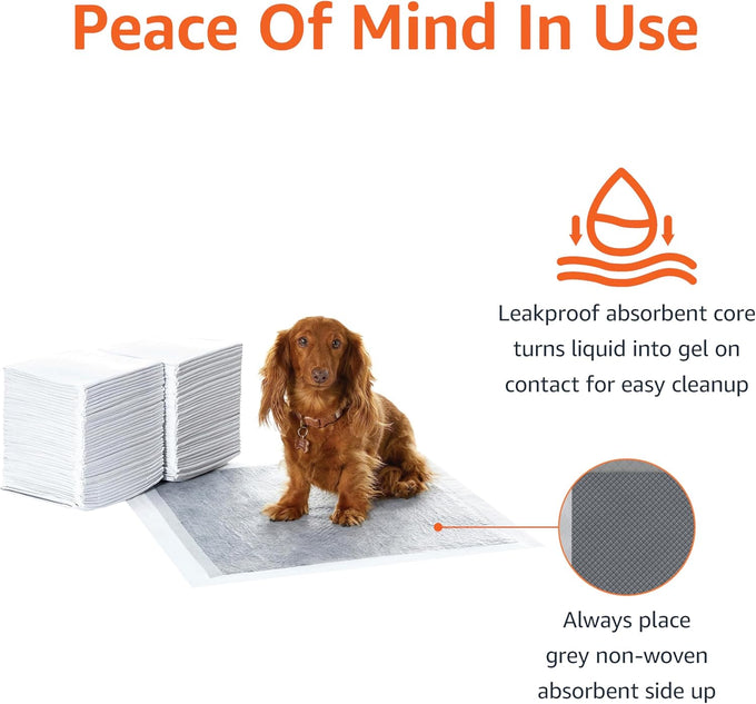Amazon Basics 5-Layer Carbon Odor Control Dog Pee Pads, Regular Size, 22x22 Gray, 80 Count