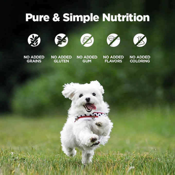ZEAL Canned Wet Dog Food - High Protein, Grain-Free