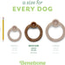 Benebone ring Durable USA made Medium Real Bacon Dog Chew Toy for Aggressive Chewers