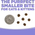 NutriSource Grain Free Chicken & Salmon Cat & Kitten Food, 4LB, 43% Protein, Omega-3 & Omega-6, Prebiotics & Probiotics