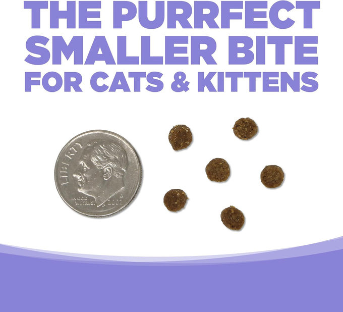 NutriSource Grain Free Chicken & Salmon Cat & Kitten Food, 4LB, 43% Protein, Omega-3 & Omega-6, Prebiotics & Probiotics