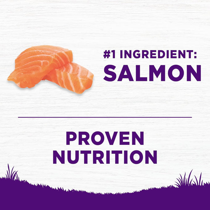 Wellness Wholesome Grain Sensitive Skin and Stomach Dry Dog Food, Salmon and Rice Recipe, 5 lb Bag, Chicken Free