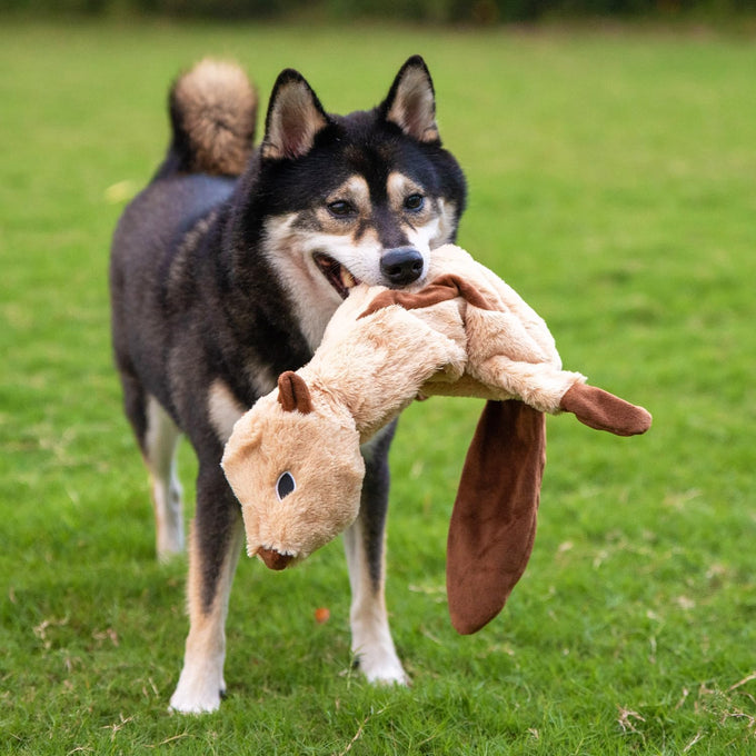 Soft Durable Fabric Squeaky Dog Toy for Small, Medium and Large Pets Interactive Indoor Play