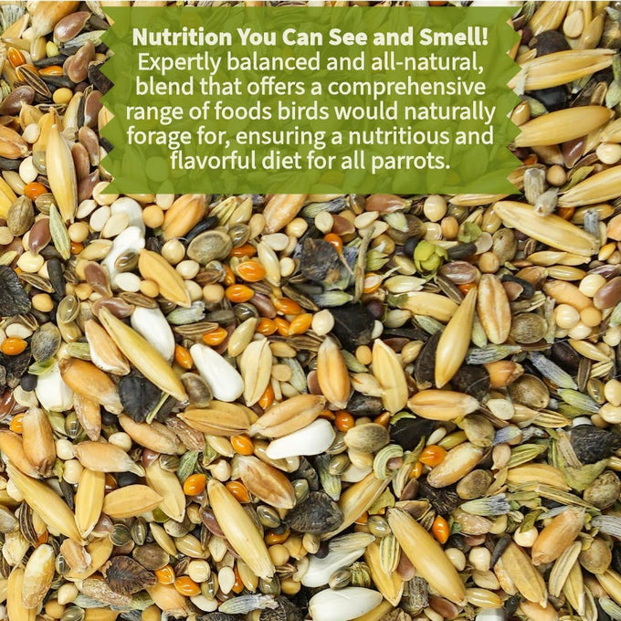 Cockatiel, Conure, Lovebird, Quaker, Parrotlet Food | No Corn, Soy, Peanuts | Gourmet Whole Grains & Seeds | 1 lb Daily Blend