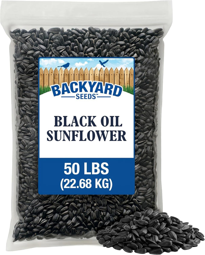 Backyard seeds black oil sunflower seeds 50lbs thin shells premium cardinal food bulk