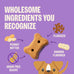 Wellness Old Mother Hubbard Classic Grain Free Mini Peanut Butter Banana Dog Biscuits, 16 oz Bag