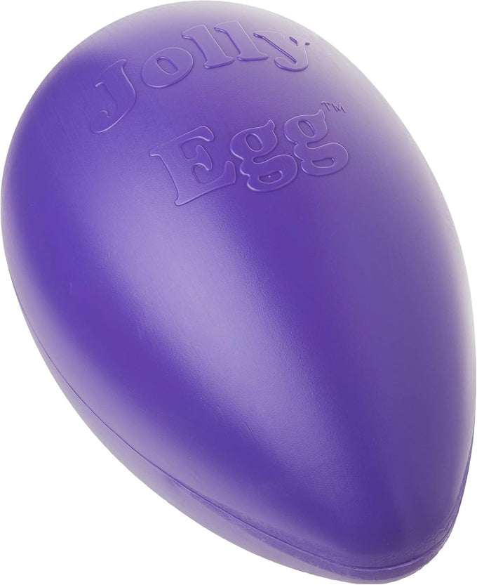 Jolly Pets large purple dog toy, 12 inches, USA made, floats, durable
