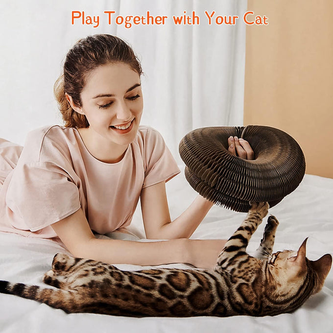 CusieryMax Cat Ball Adventure, Interactive Mental & Physical Exercise for Indoor Cats, 3-in-1 Multifunctional Toy