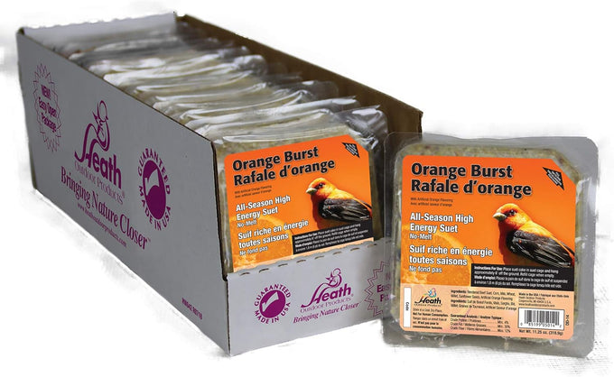 Heath Outdoor Products Orange Burst Suet Cake - 10-pack for year-round bird feeding