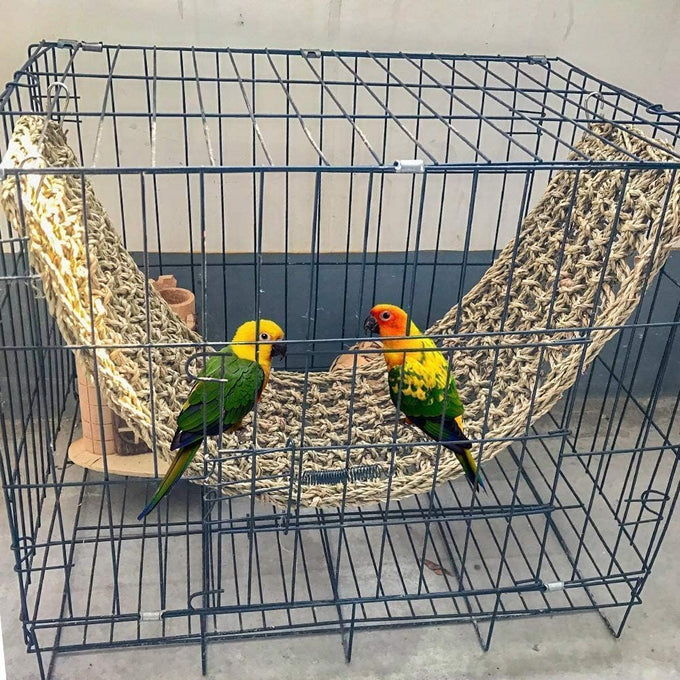 bird seagrass mat 30x7 natural grass woven hammock cage accessories for parrots and other birds
