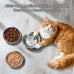 tifanso 6pcs stainless steel cat bowls, 5.6" shallow wide whisker friendly metal feeding dish set, kitten plates, dishwasher safe