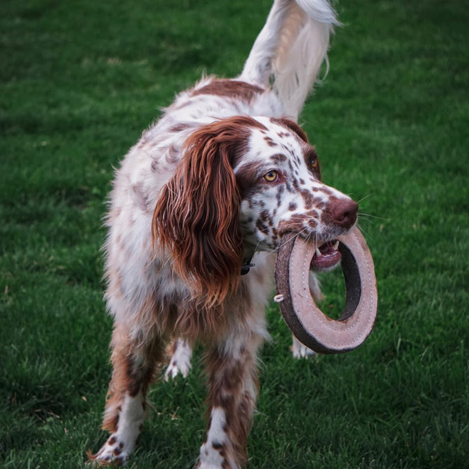 Tall Tails 7" Natural Leather Fetch Toy for Medium and Large Dogs