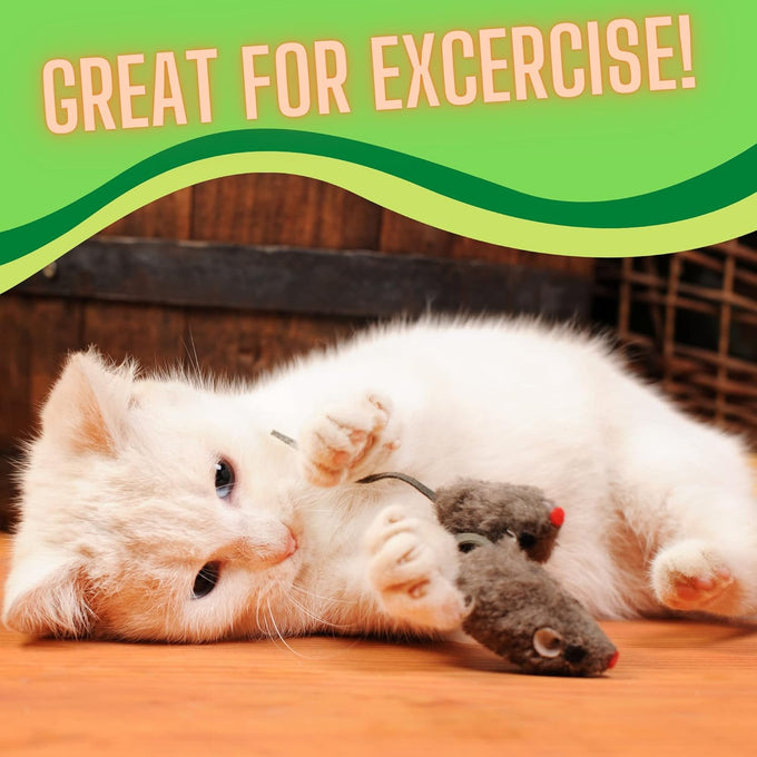 Smokey's Stash White and Gray Fuzzy Rabbit Fur Mouse Cat Toys for Cats 12 Pack Rattle Realistic Fake Mice