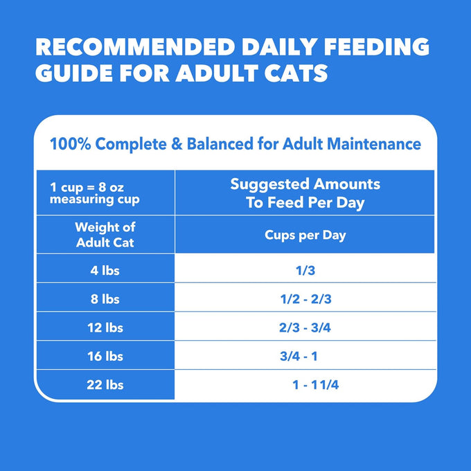 IAMS Healthy Enjoyment Dry Cat Food Chicken & Salmon Recipe, Cat Food Dry Recipe, 3 lb. Bag