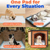 Baby Blue XL Puppy Pads 100 Count - Super Absorbent, Quick-Dry, Odor Control, and Leak-Proof for Indoor Dogs