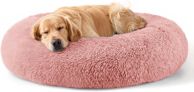 Hoewina 20in light grey donut bed for indoor cats and small dogs, washable, plush, waterproof, anti-slip