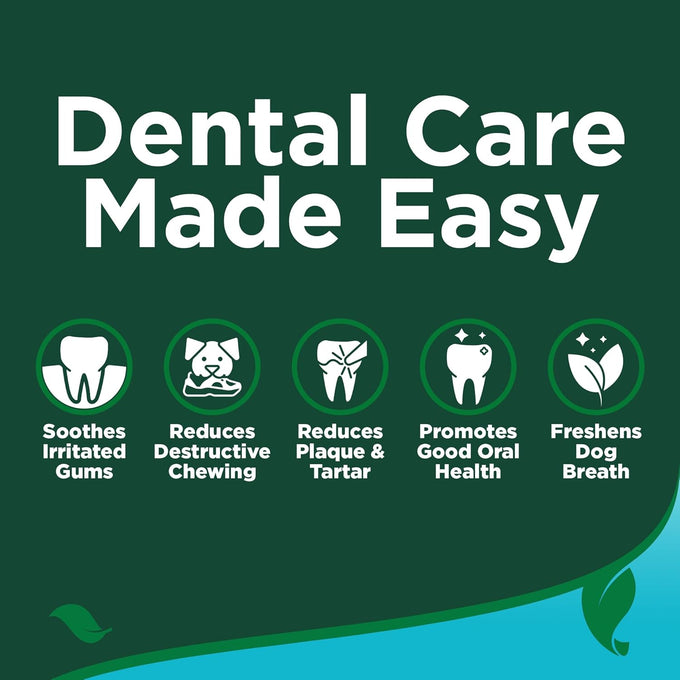 Vet's Best dog toothpaste and toothbrush kit with triple head toothbrush, natural flavors, and aloe for healthy gums and fresh breath