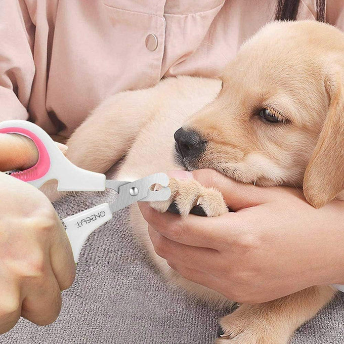 Pet Nail Clippers for Cats, Kittens, Small Dogs and Rabbits, Stainless Steel, Pink, Easy to Use