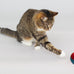 simena parrot ball toy set of 3 for medium to large birds and cats with bpa-free plastic and metal strings