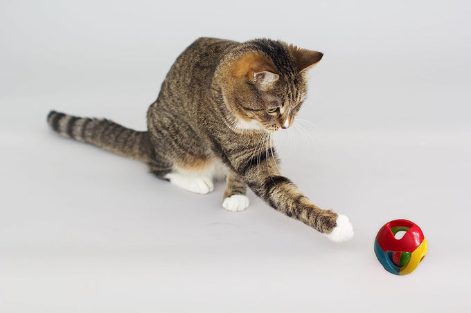 simena parrot ball toy set of 3 for medium to large birds and cats with bpa-free plastic and metal strings
