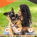 Dog Shock Collar with Remote - 3300ft Range, LED Lights, Waterproof, Adjustable Strap, Rechargeable, for Small to Large Dogs (14-25in, Black)
