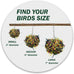 3 inch colorful paper and wooden shredder ball bird toy for cockatiels parrots and more