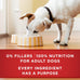 Purina ONE Classic Ground Chicken & Beef Wet Dog Food Variety Pack