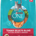 Purina ONE Natural Dry Cat Food with Real Salmon, 22 lb Bag - Digestive Care Formula