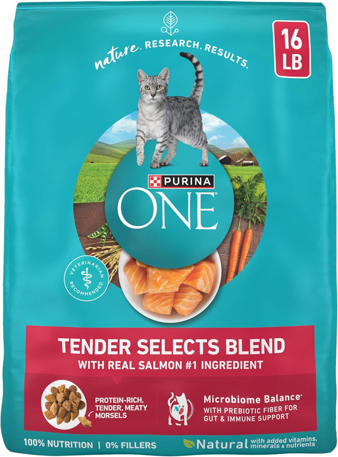 Purina ONE Natural Dry Cat Food with Real Salmon, 22 lb Bag - Digestive Care Formula