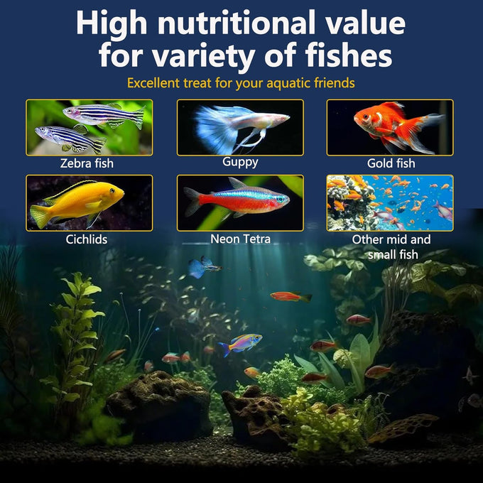 Jadingsfram freeze dried bloodworms fish food for freshwater saltwater tropical fish aquarium