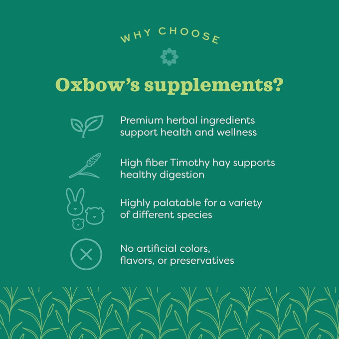 Oxbow Timothy Hay Joint Support Supplement for Rabbits & Guinea Pigs, Made with Glucosamine & Turmeric, 4.2 oz
