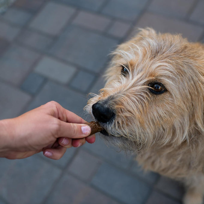 Loving Pets Natural Value Duck Sausages - Soft Jerky Dog Treats for Large & Small Breeds - Healthy Gluten, Wheat, Soy & Grain Free Pet Treats