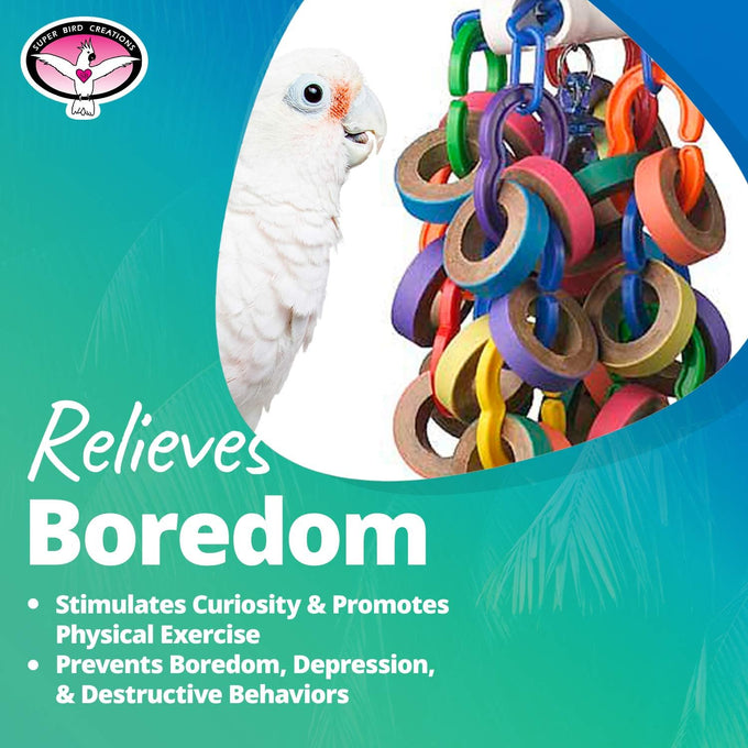Super Bird Creations SB1107 Bagel Cascade Bird Toy, Large, Refillable Bagels for Amazon, African Grey, and Other Parrots