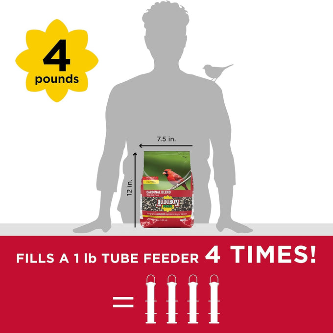 Audubon Park Cardinal Blend Wild Bird Food 4-Pound Bag with 100% Sunflower and Safflower Seed