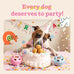 Buddy Blue Party Pupsicle Long-Lasting Interactive Dog Toys for Large Dogs Birthday Gifts Low-Mess Design