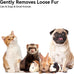 aumuca skin friendly slicker brush for dogs & cats with self-cleaning button, gentle pet grooming tool