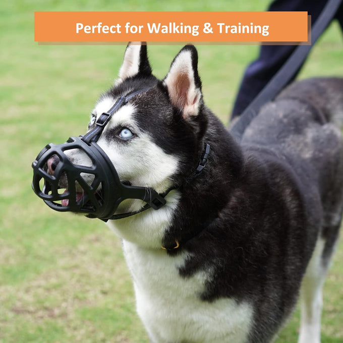 Barkless dog muzzle for biting, chewing and scavenging, humane cage mouth cover for medium aggressive reactive dogs, black, medium