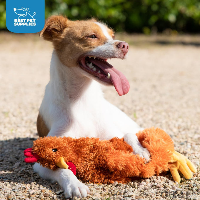 Best Pet Supplies Crinkle Chicken Octopus Dog Chew Toy, Brown, Large, Suitable for Small, Medium & Large Dogs and Fetch Lovers