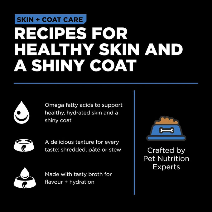Go! Solutions Skin + Coat Care Wet Dog Food, Chicken with Grains