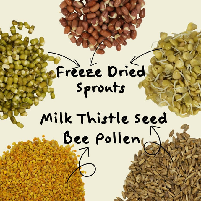 Feather Shine high potency parrot food with bee pollen, sprouts, USA-made, 17.5% plant protein, omega rich, molting, breeding, growth