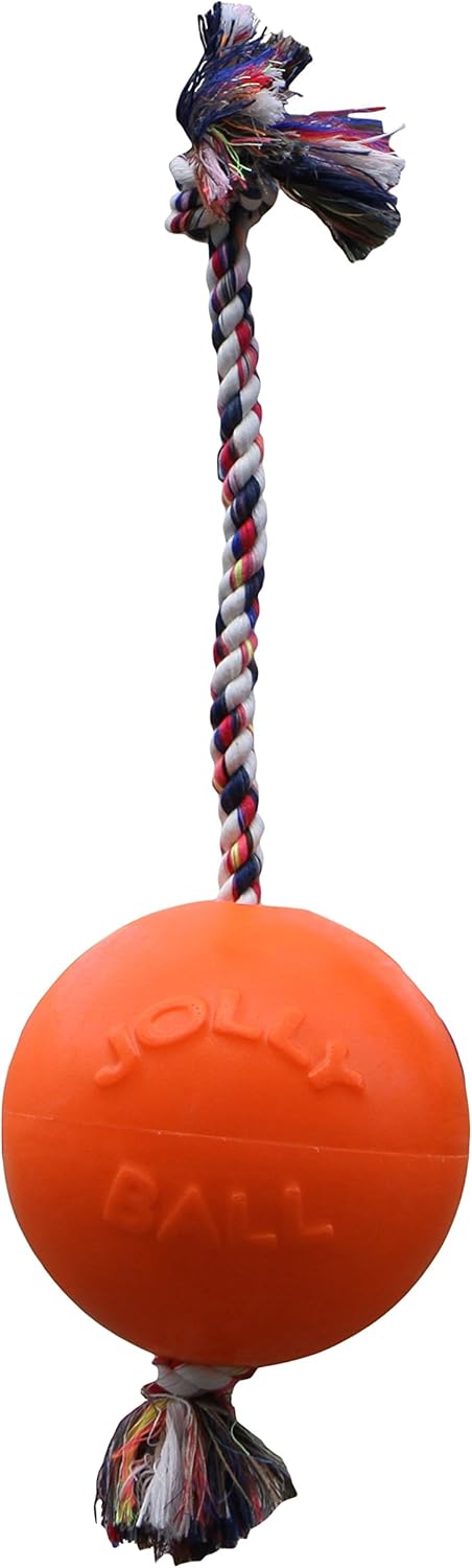 Jolly Pets 8-Inch Large Orange Romp-n-Roll Dog Toy for Large Dogs Made in the USA