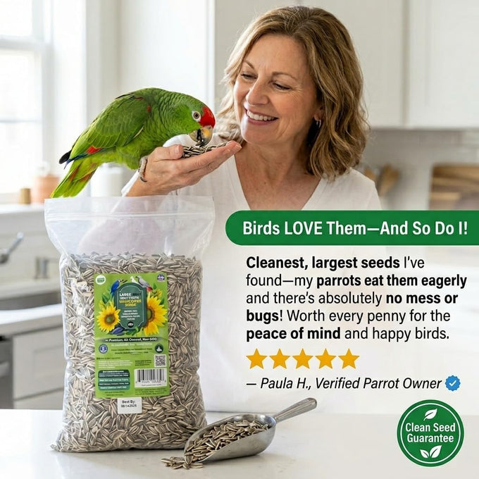 nemeth-farms-striped-sunflower-seeds-for-parrots-bird-food-5-lb-extra-large-gray-5