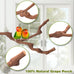 3PCS bird perch grape stick natural 100% safe non-toxic wild grapevine budgies cockatiels lovebirds