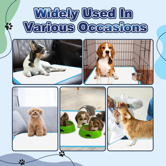 Oomicat Puppy Pads XL 100 count, extra large 34x28 disposable dog training pads with 6-layer leak-proof protection