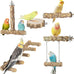 Natural Wooden Bird Ladder for Small Animal Exercise and Chewing Toy, 12.2 inches, Easy Installation