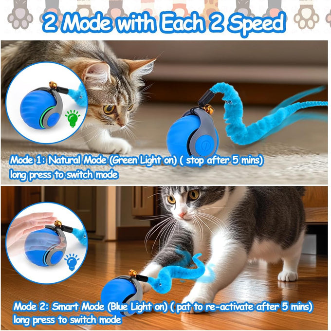 speedy interactive cat toy ball with feather tails automatic rolling indoor cat stimulation gift