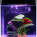 Betta fish tank self cleaning glass 2 gallon small nano aquarium starter kit with led light and whisper filters
