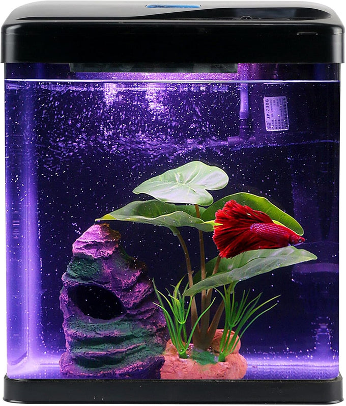 Betta fish tank self cleaning glass 2 gallon small nano aquarium starter kit with led light and whisper filters