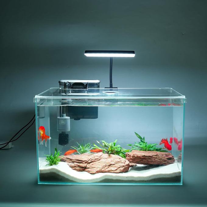 3-gallon glass small fish tank starter kit with high-efficiency filter and led lights lid